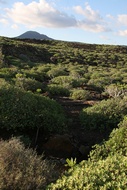 Paisaje Lanzaroteo