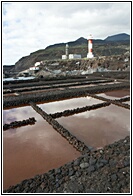 Salinas de Fuencaliente