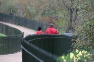 Paseando por Hyde Park