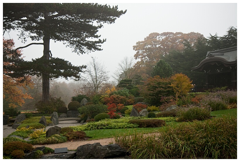 Japanese Garden