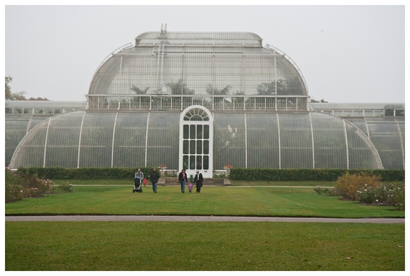 Palm House