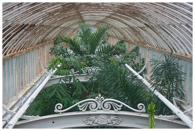 Palm House