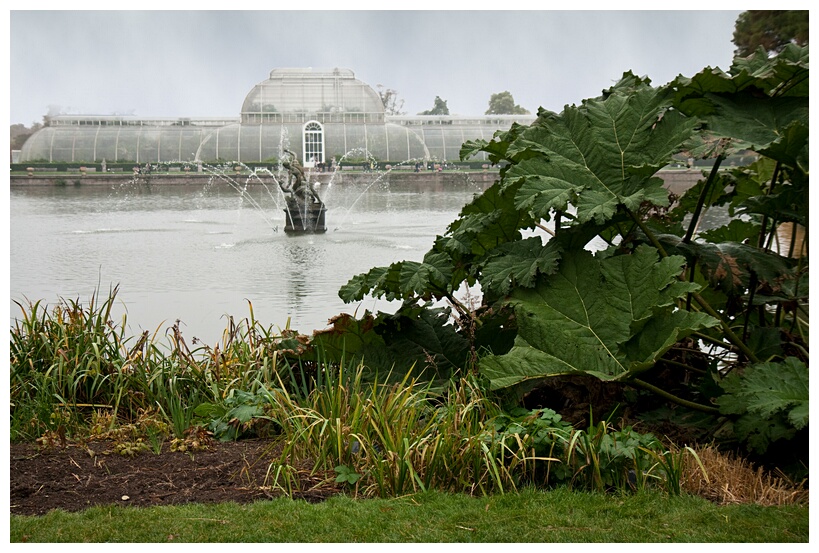 Palm House