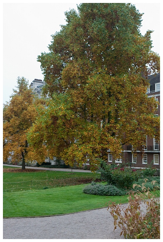 Temple Garden