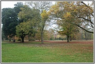 The Arboretum