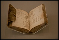 The Forster Codex