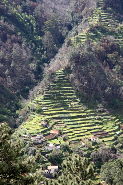 Terrazas Cultivadas