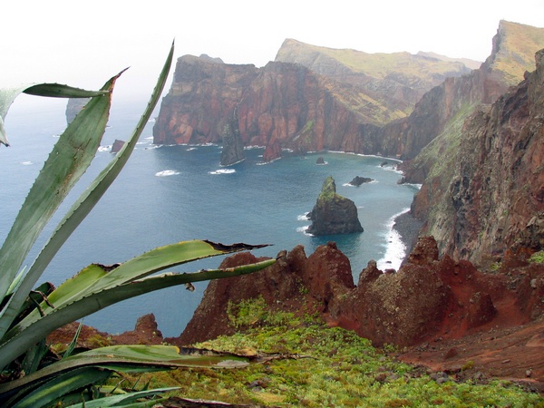 Ponta de Sao Loureno