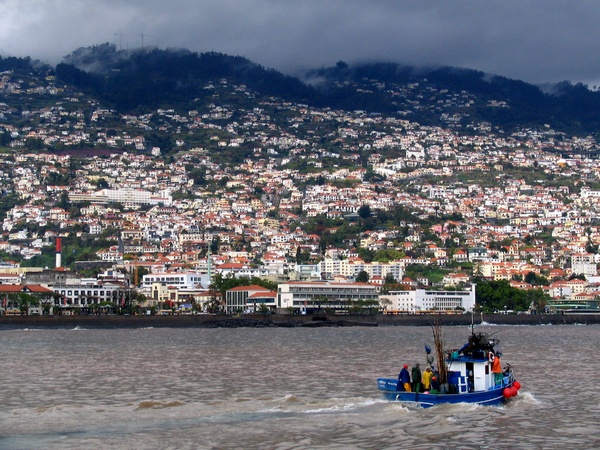 Vista de Funchal