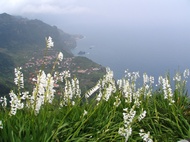 Vista de Madeira