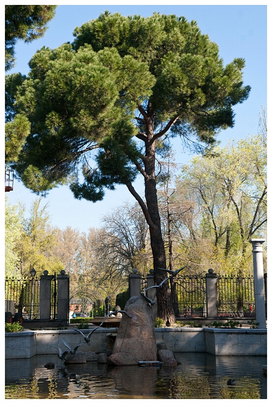 Jardines de Cecilio Rodrguez