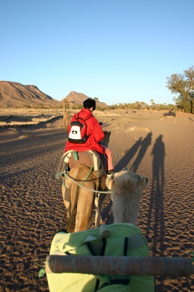 Pili as Camel Driver