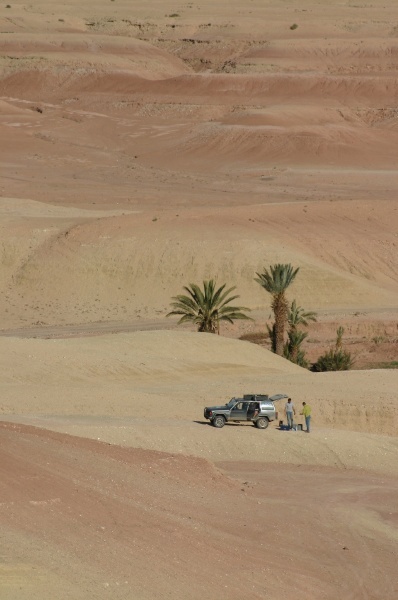 Lost in the Dessert