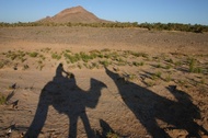 Camel Shadows