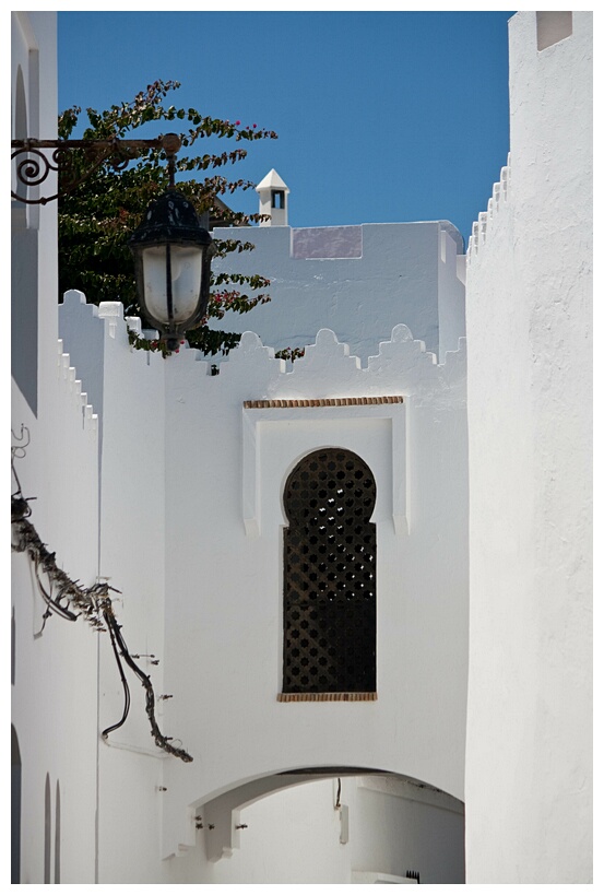 Whitewashed Houses