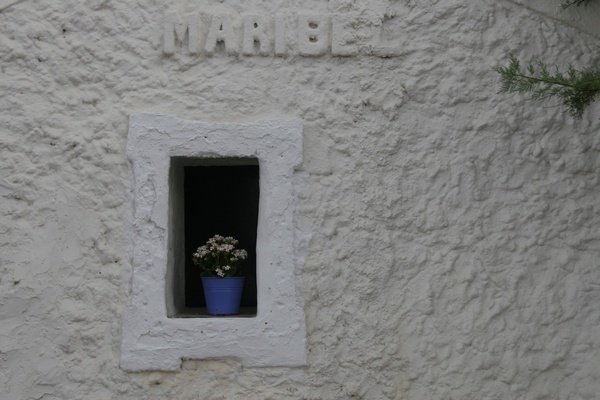 Maribel Window