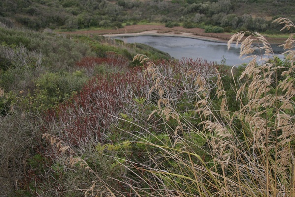 S'Albufera d'es Grau