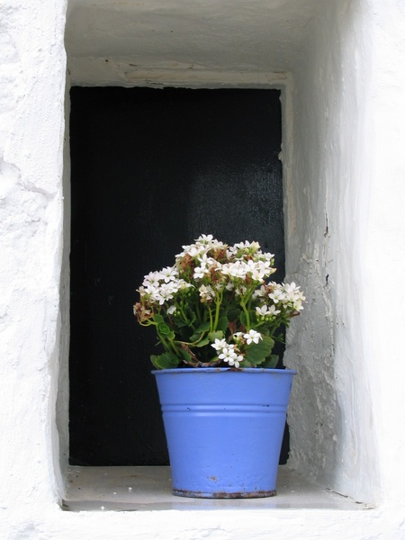 Flowerpot