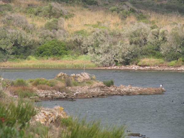 Albufera of Es Grau