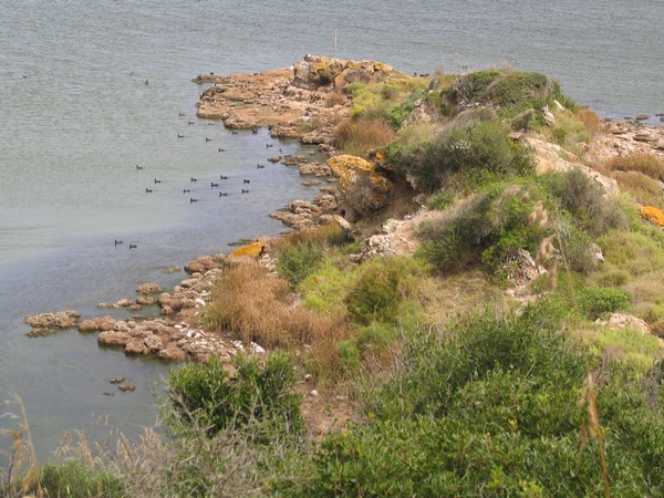 Es Grau Lagoon