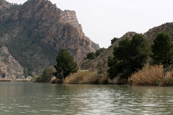 Pantano de Ojs