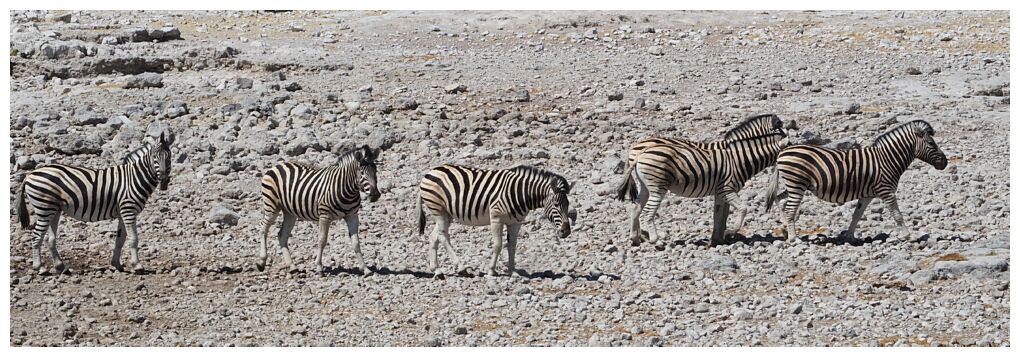 Etosha National Park