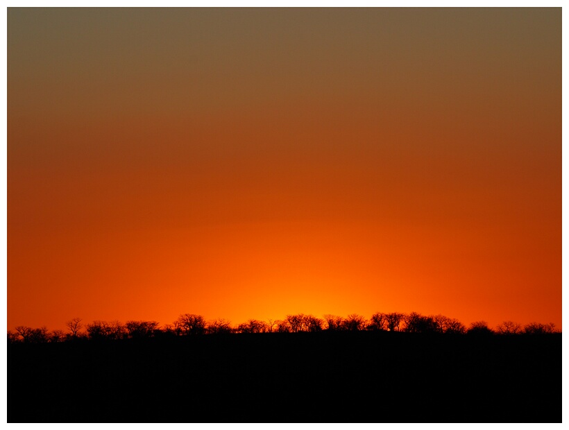 Etosha National Park