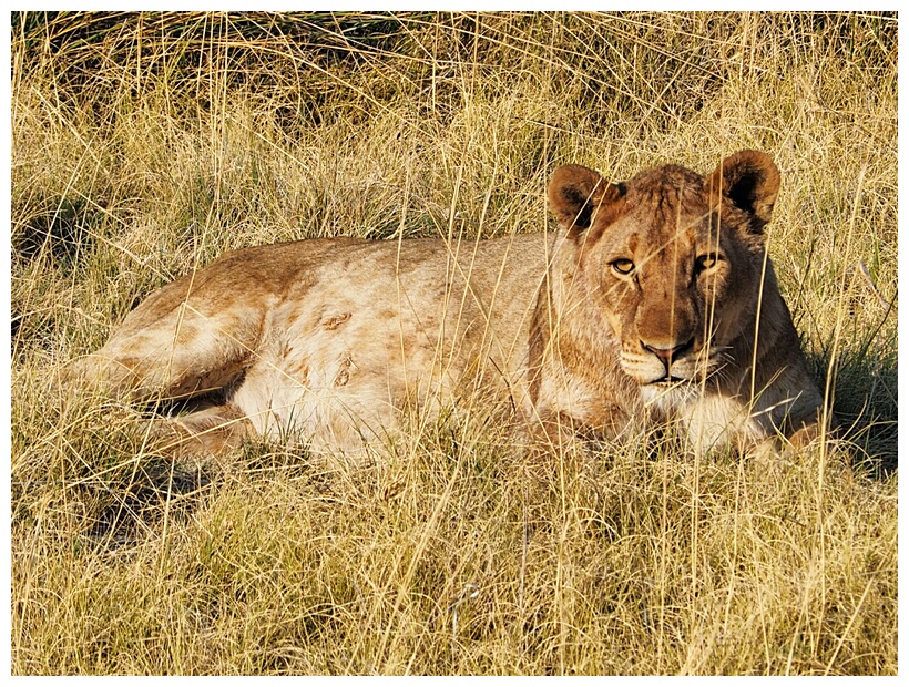 Etosha National Park