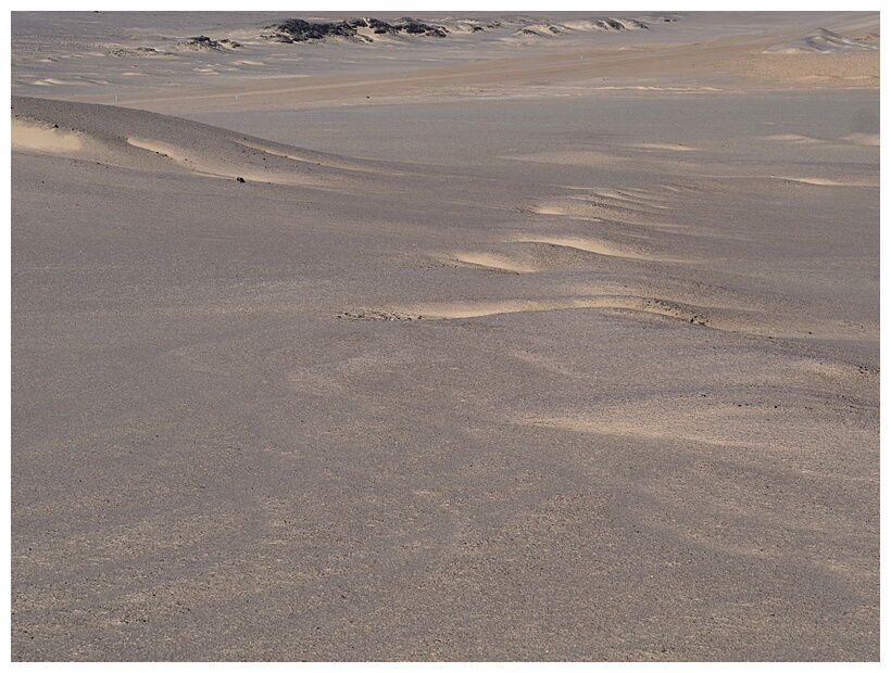 Skeleton Coast