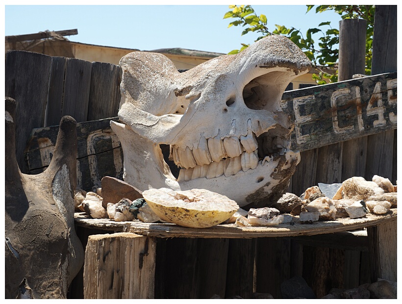 Skeleton Coast