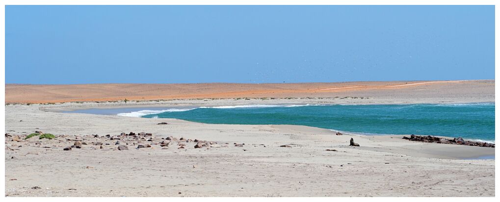 Cape Cross Beach 