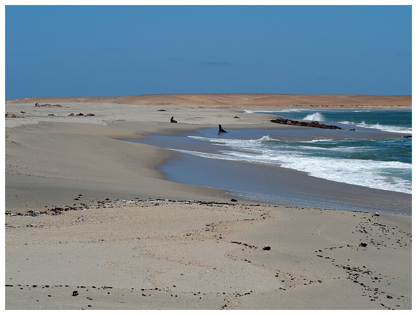 Cape Cross Campsite