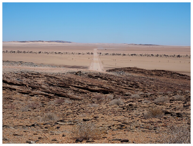 Namib Desert