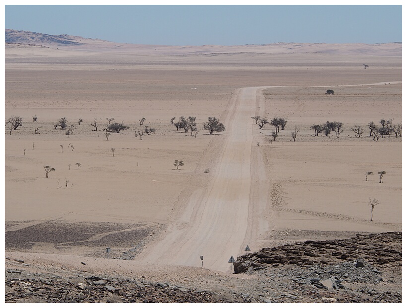 Namib Desert