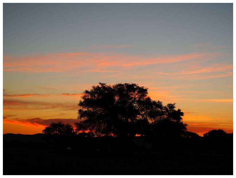 African Sunset