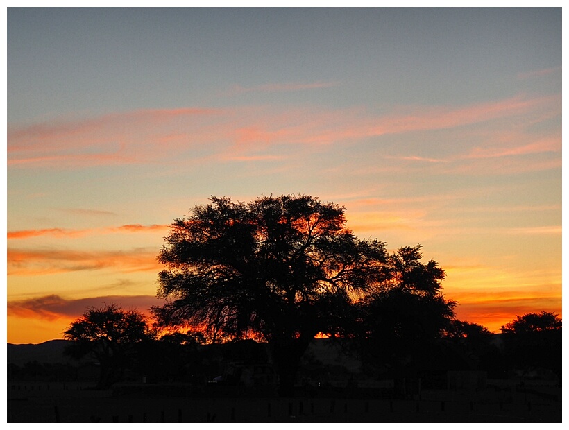 Sunset View