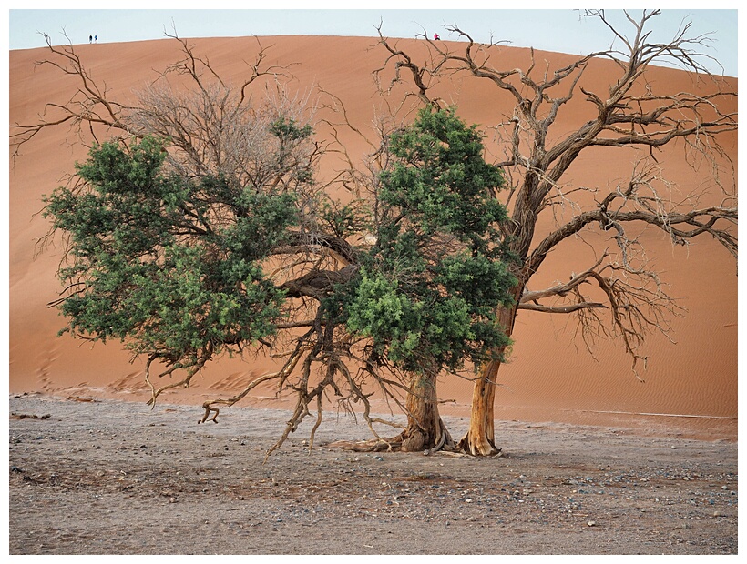 Sossusvlei