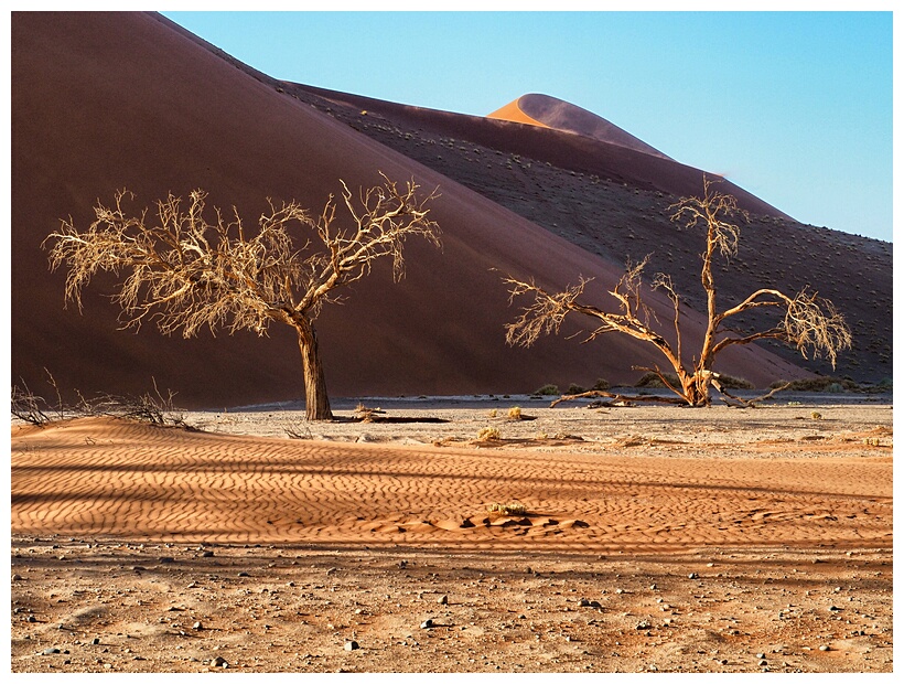 Sossusvlei