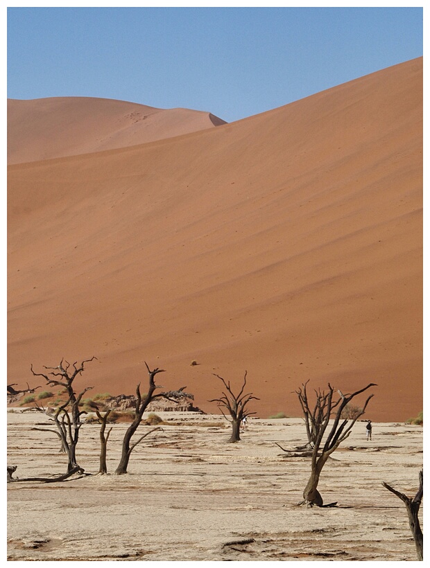 Deadvlei