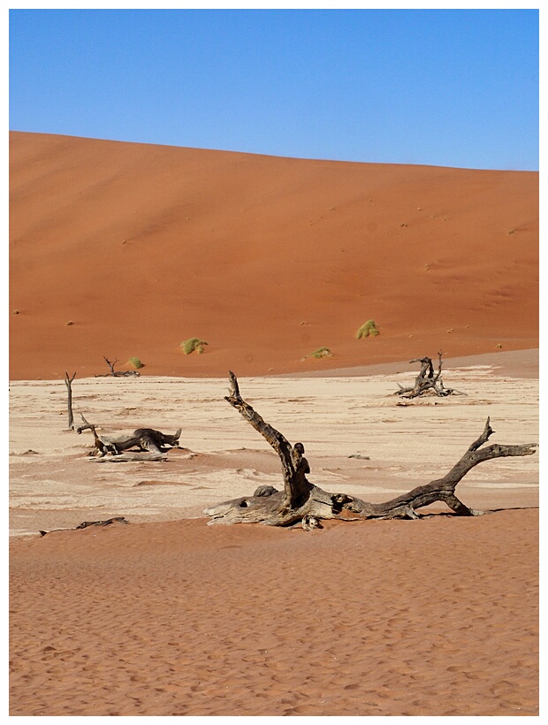 Deadvlei