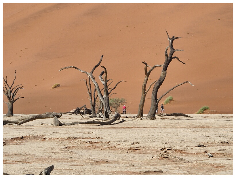 Deadvlei