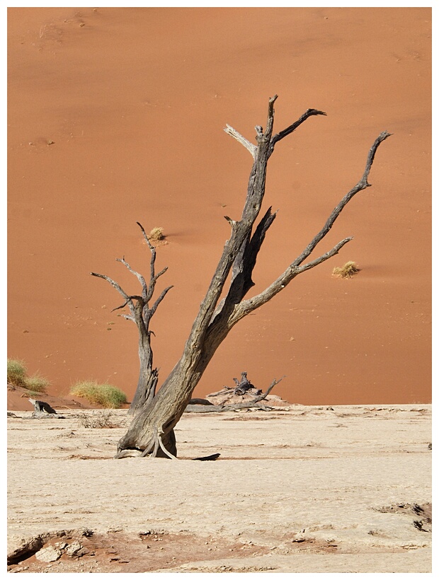 Deadvlei