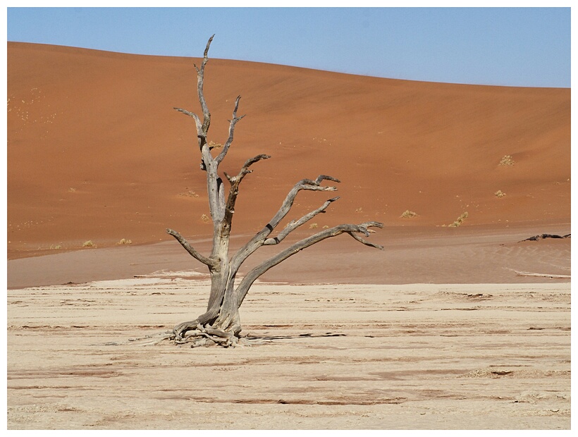 Deadvlei