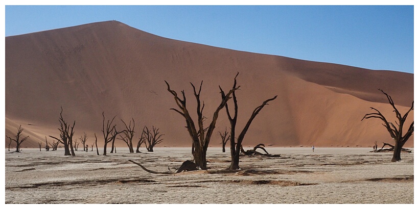 Deadvlei