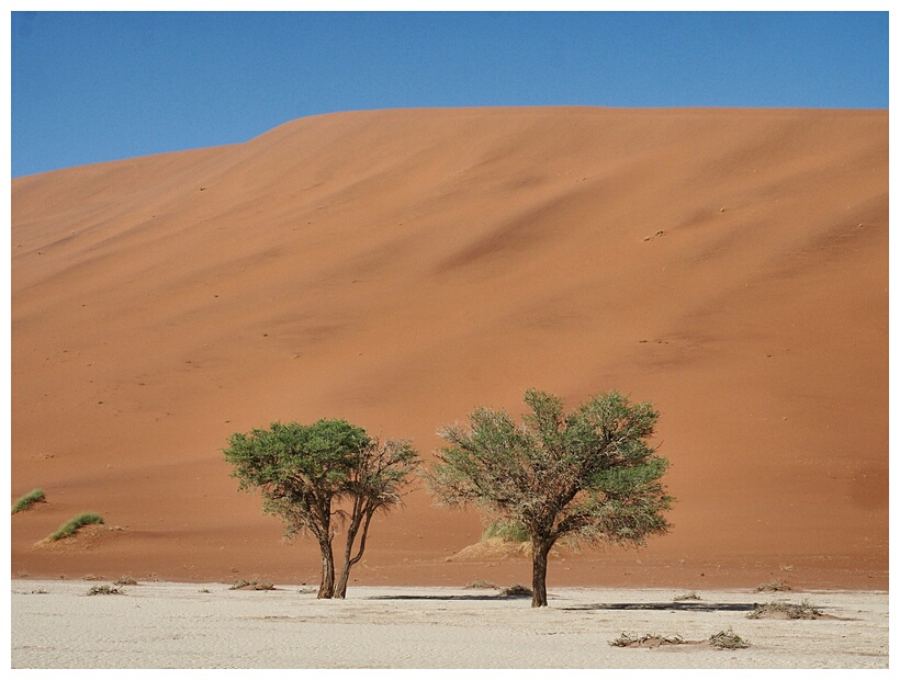 Deadvlei