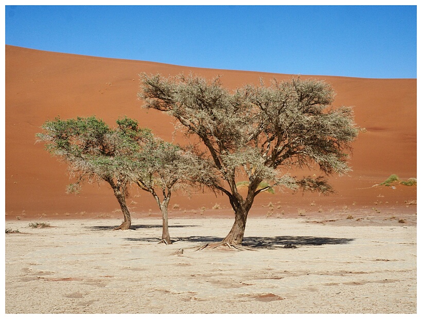 Deadvlei