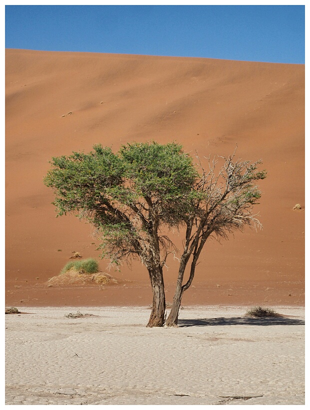 Deadvlei