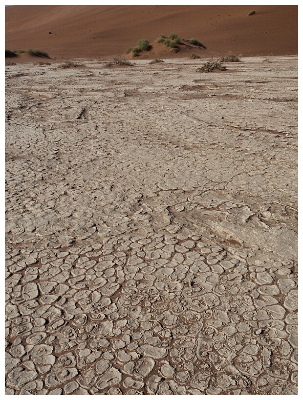 Deadvlei