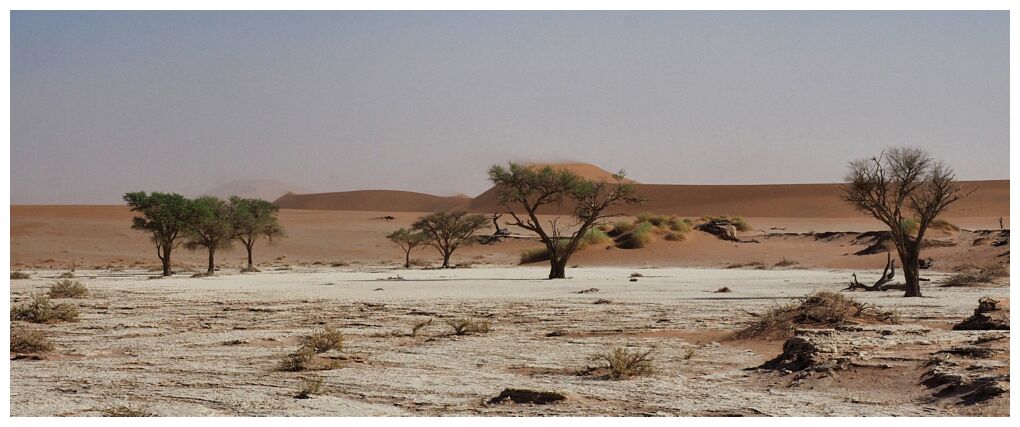 Deadvlei