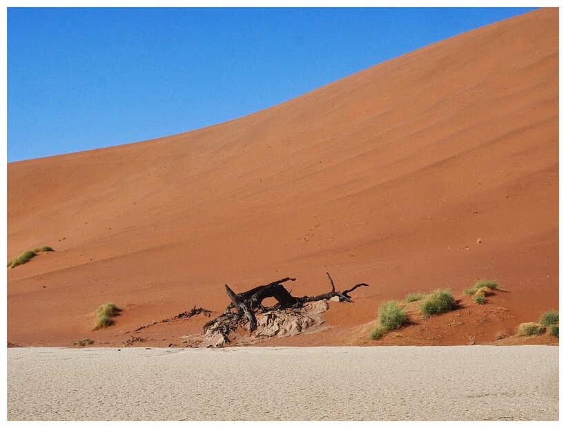 Deadvlei